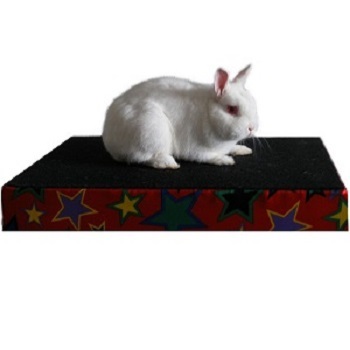 childrens entertainer magic live rabbit areas we cover
